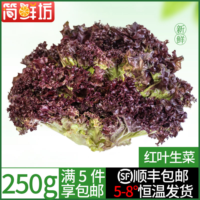 【满5件顺丰包邮】红叶生菜250g新鲜罗莎红紫叶蔬菜沙拉蔬菜-封面