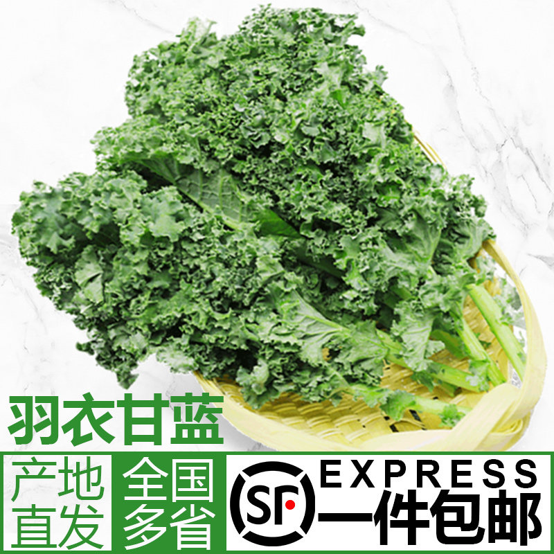 新鲜羽衣甘蓝2斤健身轻食榨汁kale西餐蔬菜嫩叶甘兰叶牡丹 包邮|msdalam kategori daging perikanan/Buah-buahan segar dan sayur-sayuran/dimasak, sayur-sayuran segar/Vegetable Products, sayur-sayuran segar, lain - dari Buy2taobao.com untuk memberikan perkhidmatan ejen Taobao profesional membeli