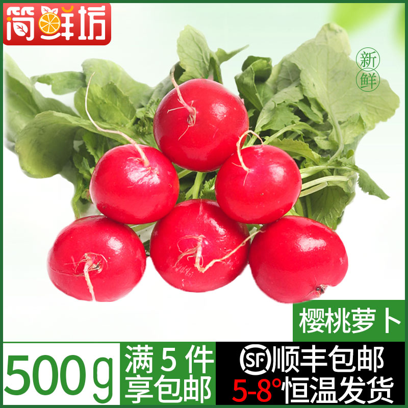 【满5件顺丰包邮】樱桃萝卜500g 迷你食材小圆红萝卜蔬菜沙拉摆盘