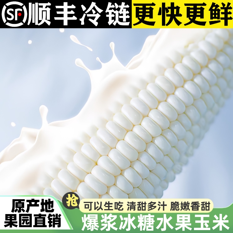 现摘可生吃！爆汁冰糖水果玉米！