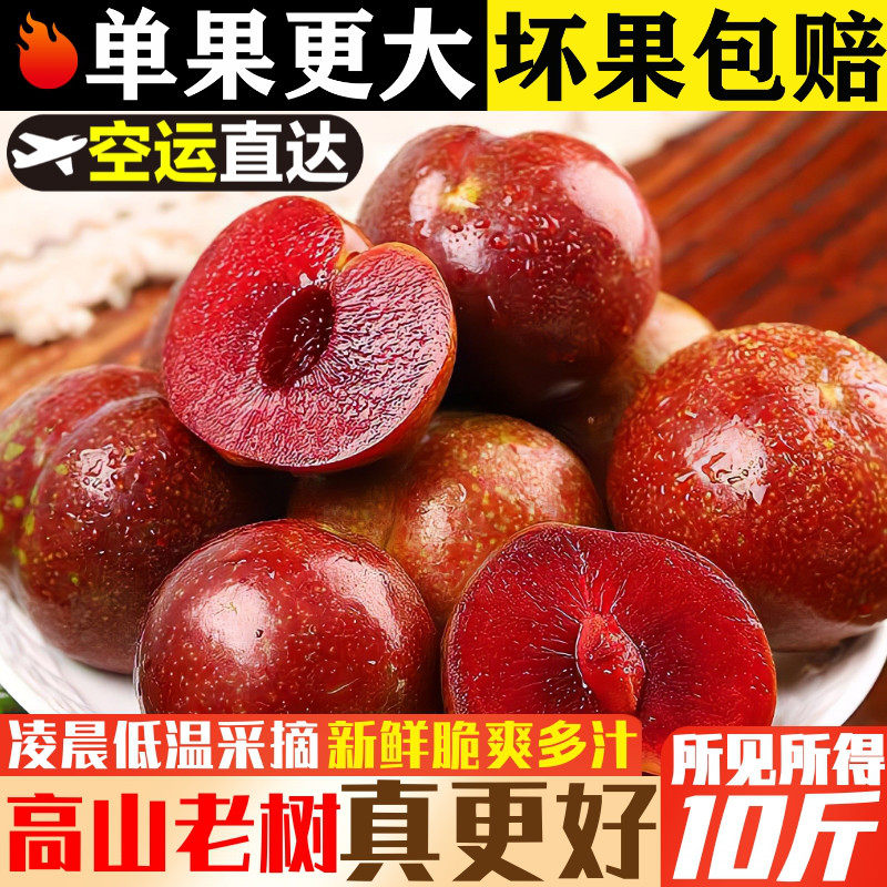 果园现摘！真红心！三华李芙蓉李