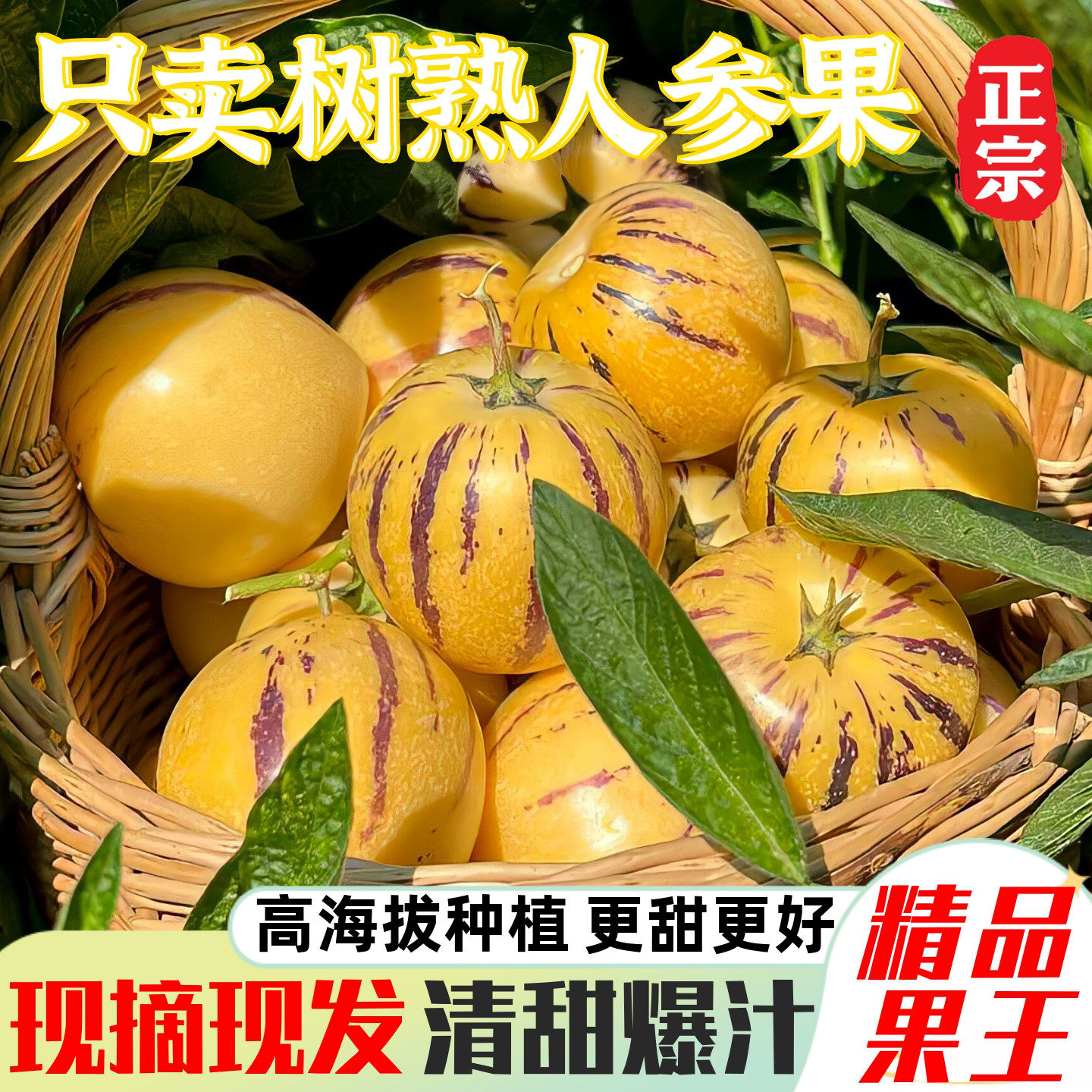 正宗云南石林人参果新鲜树熟人生果黄肉圆果低糖水果现摘【精品】