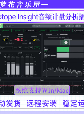iZotope Insight v2.5.0响度标准化音频洞察2计量分析插件Win/Mac