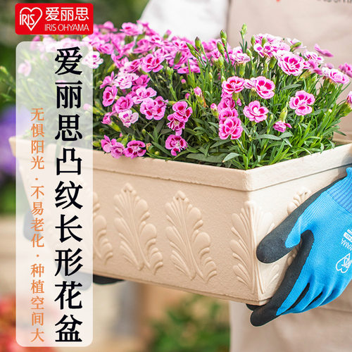 爱丽思FIRENE凸纹长形树脂花盆