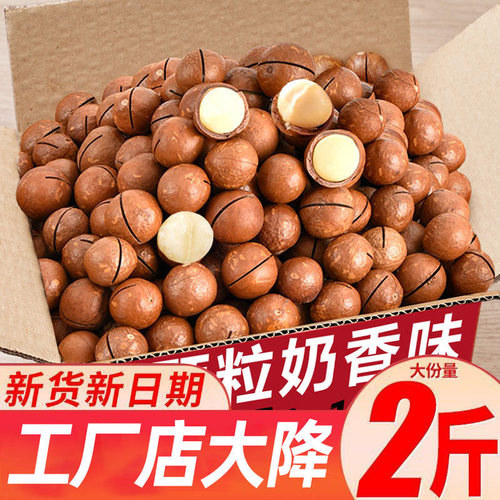 夏威夷果带壳新货奶油味零食坚果干果送开口器澳洲特产炒货大礼包