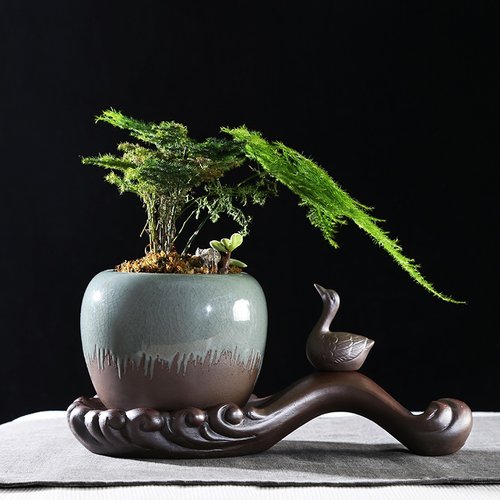 盆景花盆陶瓷创意个性复古销量排行榜 盆景花盆陶瓷创意个性复古品牌热度排名 小麦优选