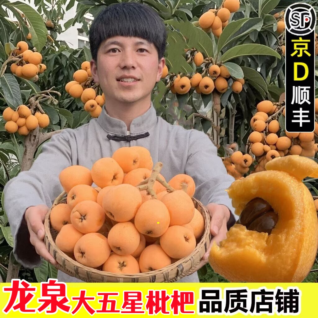 四川龙泉大五星枇杷5斤3斤大果新鲜琵笆现摘孕妇水果京东顺丰包邮
