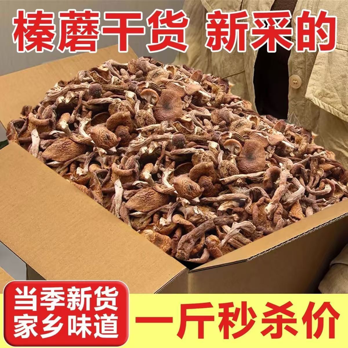 榛蘑东北野生蘑菇特干货级罐装长白山小鸡炖香菇的干臻蘑榛菇
