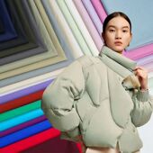 480T高档三防羽绒服专用面料20D轻薄柔软起皱鹅绒服棉服服装 布料