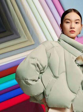 480T高档三防羽绒服专用面料20D轻薄柔软起皱鹅绒服棉服服装布料