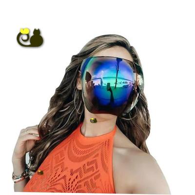 FullFaceShid一体式面