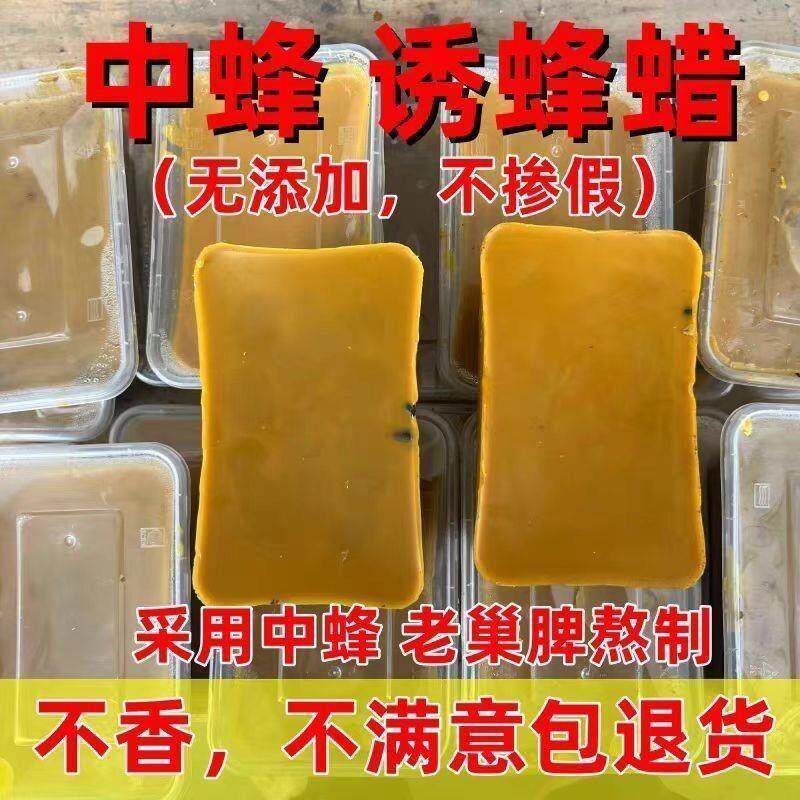 纯天然正宗中蜂诱蜂蜡分蜂诱蜂专用老巢脾蜡招野蜂诱捕养蜂专用