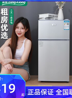 冰熊小冰箱家用小型宿舍出租房冷冻冷藏迷你双开门电冰箱一级节能