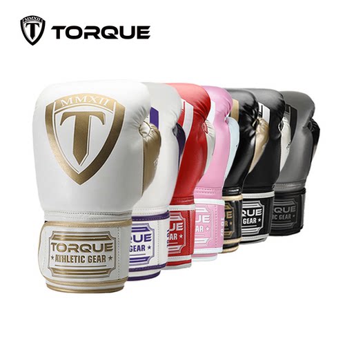 torque散打格斗健身专业