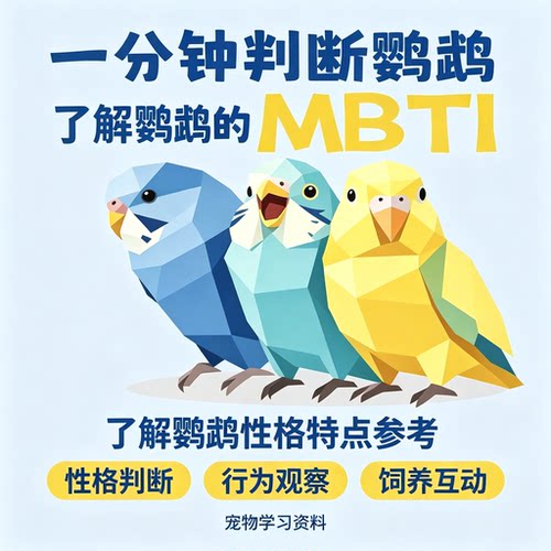 一分钟分辨鹦鹉MBTI性格图文资料依据行为特征判断宠物参考指南
