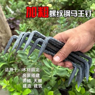 镀锌螺纹钢扒钉抓钉木工爪钉马王钉蚂蟥钉防锈钩钉建筑勾钉u型钉
