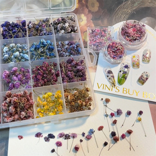 维妮的百宝箱手工立体干花美甲饰品日式干燥花迷你满天星美甲diy