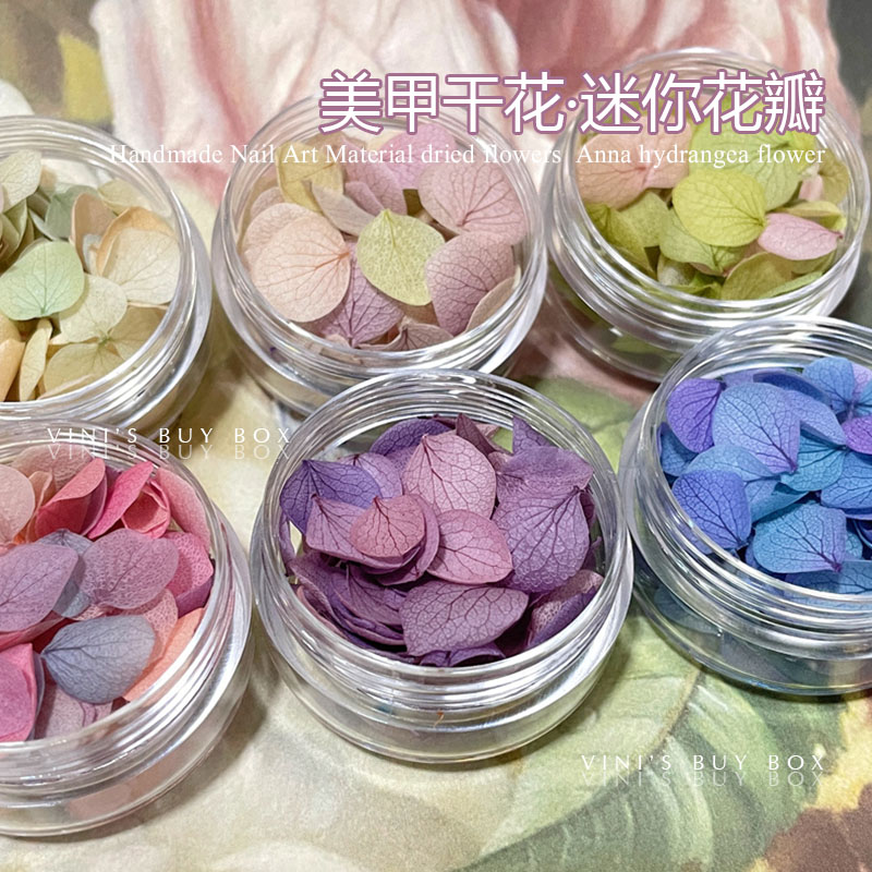 日式ins风美甲干花渐变小叶子