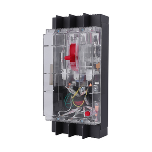 100 3901 DZ15LE 2901 4901透明漏电保护器63A 厂家直销DZ15LE