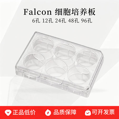 康宁BDFalcon细胞培养板
