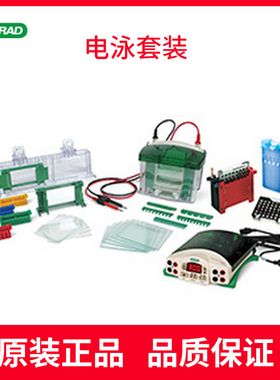 电泳套装1645050+1658001+1703935 Bio-Rad 美国进口伯乐