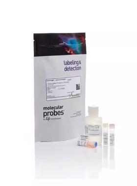 Invitrogen Qubit dsDNA HS and BR 分析试剂盒Q32851