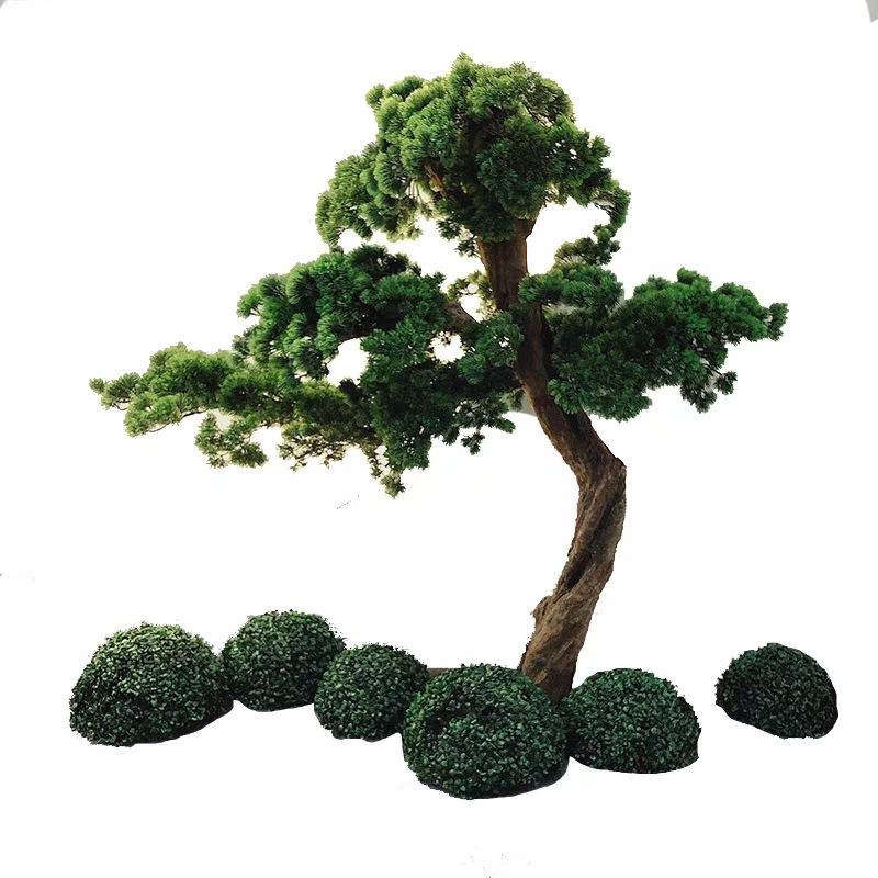 仿真迎客松美人松罗汉松牙签松新中式庭院造景上传酒店茶室软装树