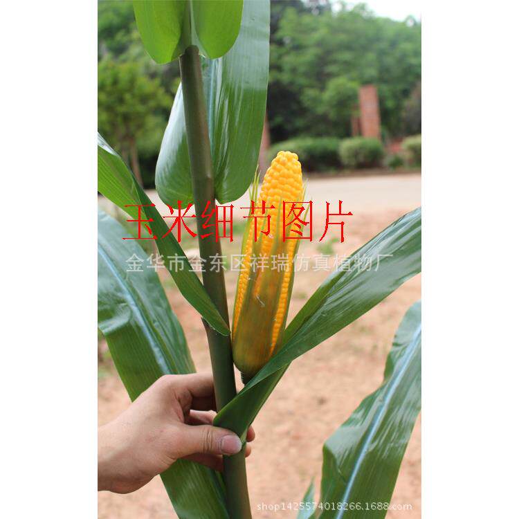 仿真玉米叶春色玉米棒子假农作植物假树叶工程博物馆布景拍摄