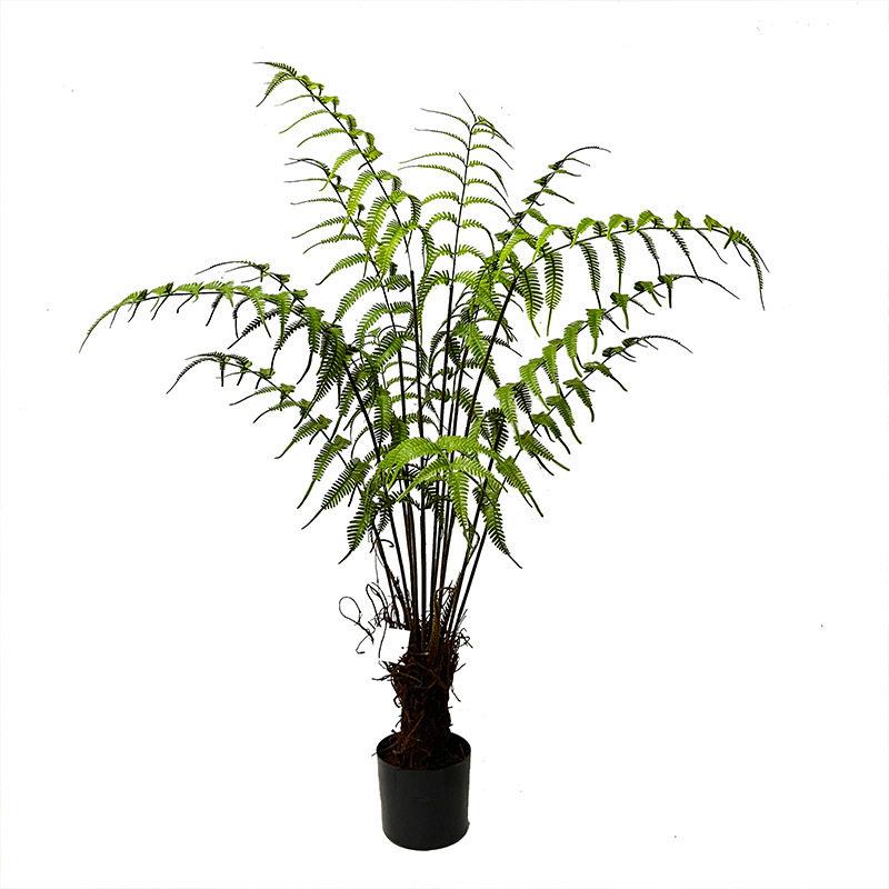 仿真金丝猴蕨树仿真假树仿真猴头蕨类植物植物盆栽禅意造景装饰