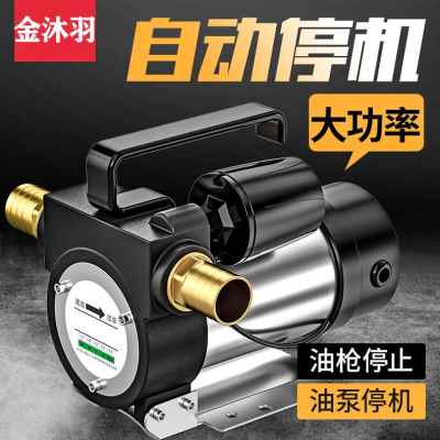 定制爆品厂销自动停机电动抽油泵12V24V220V伏自吸泵油泵柴油泵加