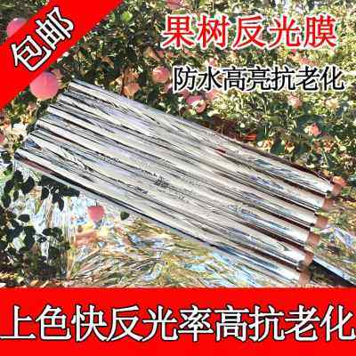 厂销厂销反光膜农用保温大棚蔬菜银色地膜果园m果树保湿白色塑品