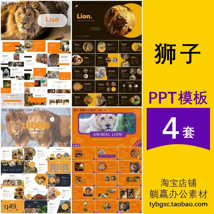 狮子介绍简介认识观察保护动物班会汇报主题背景ppt模板