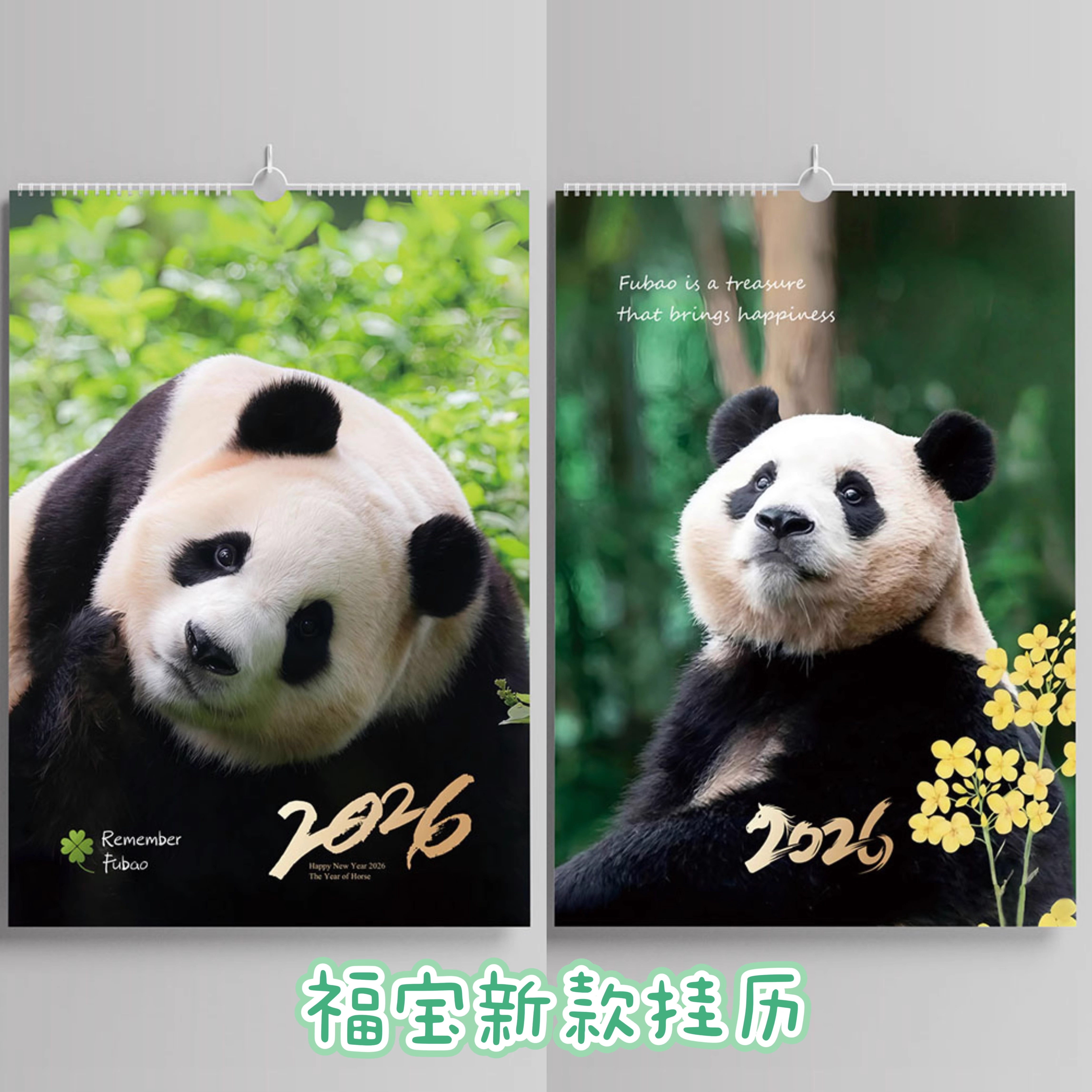 26年新版熊猫挂历福宝萌兰花花