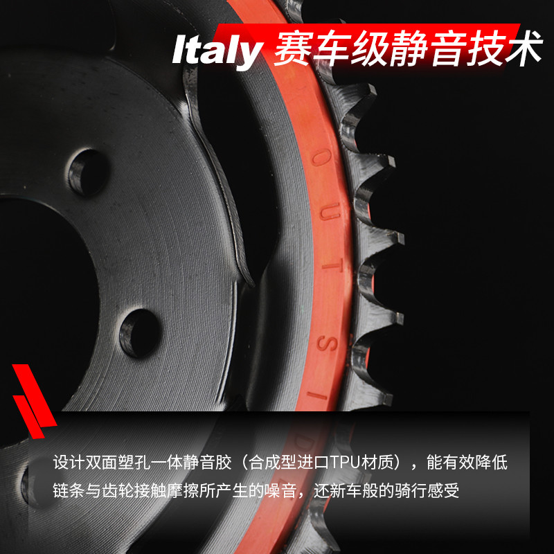 适用贝纳利小黄龙BJ250 幼狮250 TNT25静音牙盘链轮征和油封链条