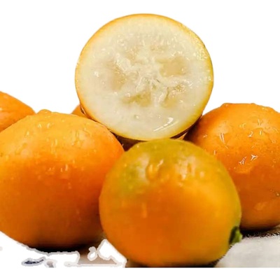 正宗融安金桔第三代脆蜜金桔试吃装纯甜无籽鲜果