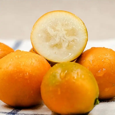 正宗融安第三代脆蜜金桔纯甜无籽鲜果果地直发过年送礼佳品