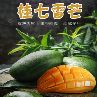 广西田东桂七芒果新鲜百色桂7青皮香芒9斤特大果纯甜特产芒果包邮