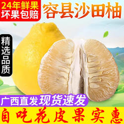 【自吃花皮果】广西容县沙田柚子新鲜水果纯甜现摘12斤白心蜂蜜柚