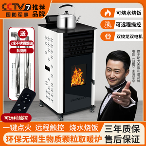智能环保生物质颗粒取暖炉风暖家用商用全自动水暖室内无烟采暖