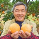 贵州陈有方脐橙河谷现摘现发天然无蜡健康安全新鲜水果榨汁可手剥