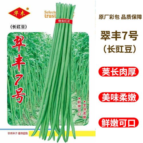 翠丰七号长豇豆种子摘不败高产长豆角种籽绿条特长豆角春秋蔬菜种