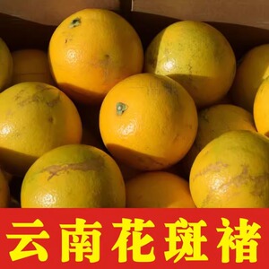云南褚时健实建褚花橙花斑果10斤新果纯甜无渣励志甜橙花斑橙高原