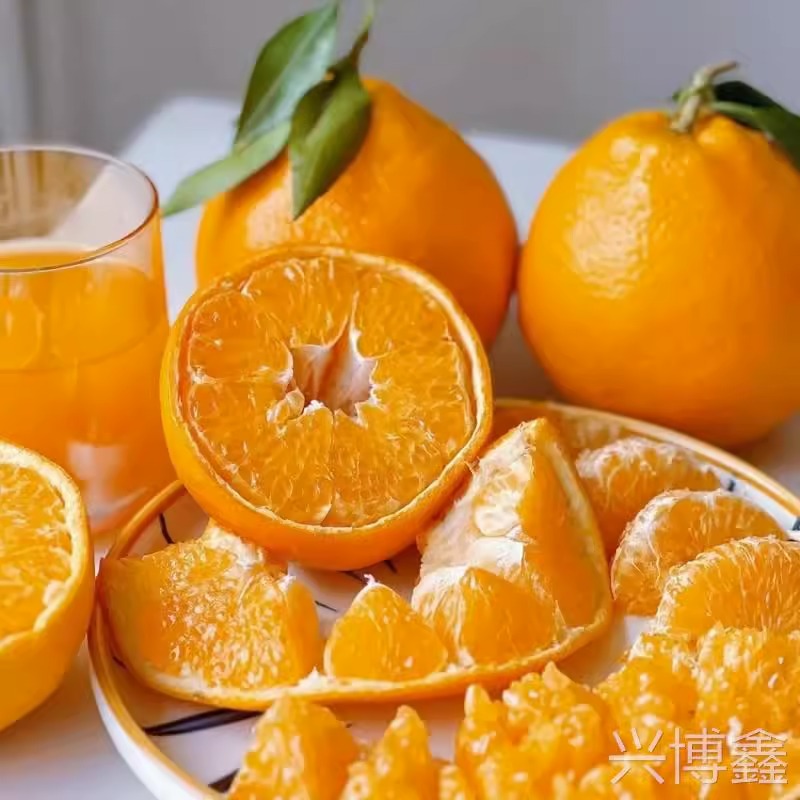 四川春见耙耙柑特级粑粑柑10斤橘子甜当季整箱新鲜水果丑柑桔包邮