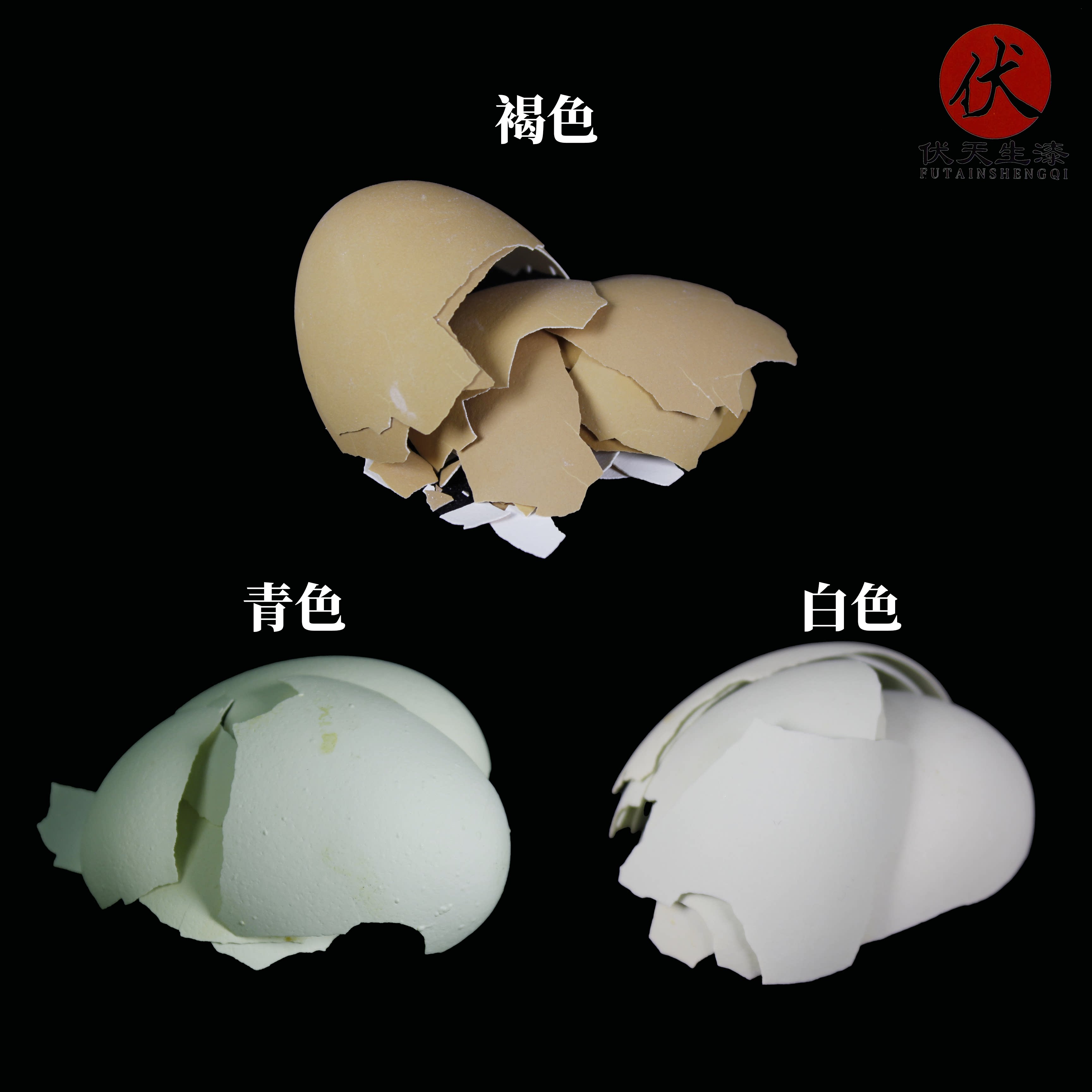 乌鸡超白蛋壳 大漆蛋壳 漆画蛋壳 白蛋壳碎蛋壳粉镶嵌鸡蛋壳漆艺