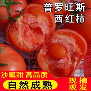 陕西普罗旺斯水果西红柿番茄带箱5斤