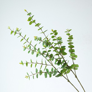 饰假花插花配材金钱叶 仿真绿植3D打印胶片手感尤加利叶家居装