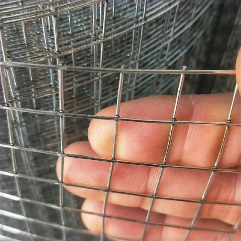 镀锌铁丝网围栏防锈拦鸡网菜园隔离护栏网水泥防裂加固抹墙养殖网