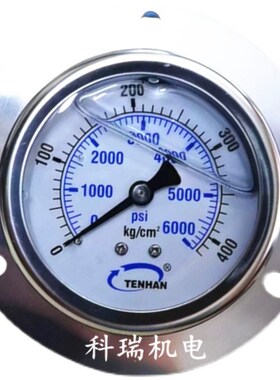 TENHAN 耐震压力表YN60ZT  350kg 600kg 100kg  400KG 250KG 仪表