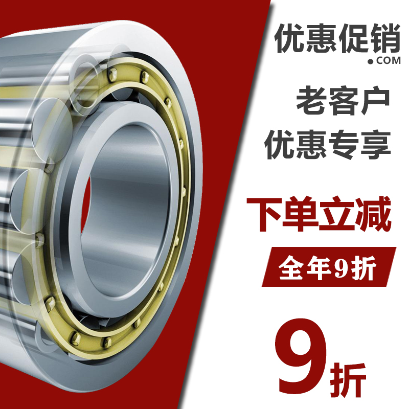 日本NSK进口轴承NU210 211 212 213 214 215 216 217EM EW ECM M