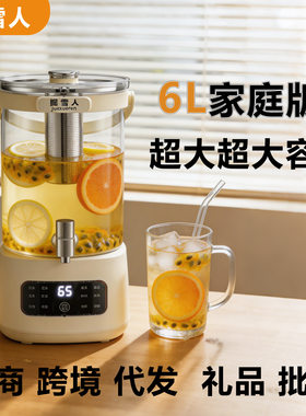 6L恒温煮茶养生壶大容量多功能